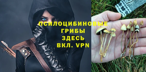амф Аркадак