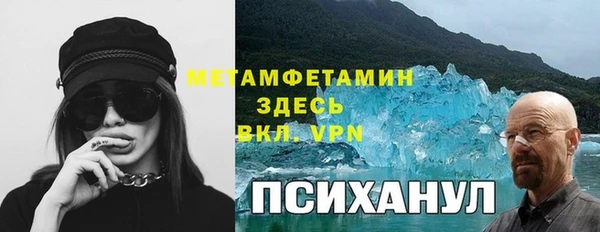 прущие грибы Алзамай