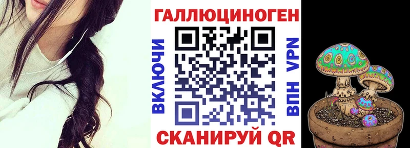 Купить Аша Галлюциногенные грибы мицелий